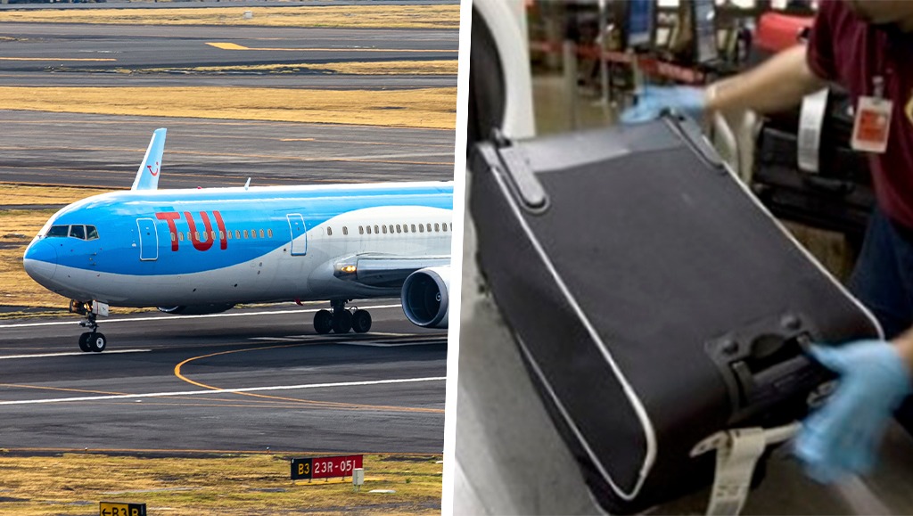 ¿Conoces la diferencia entre Safety y Security?